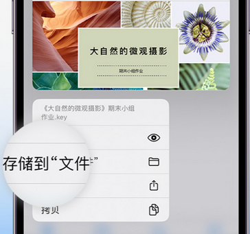 高台apple维修中心分享iPhone文件应用中存储和找到下载文件