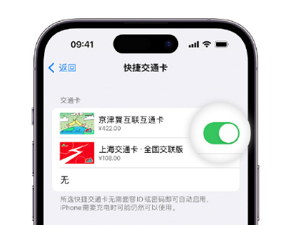 高台apple维修点分享iPhone上更换Apple Pay快捷交通卡手绘卡面 