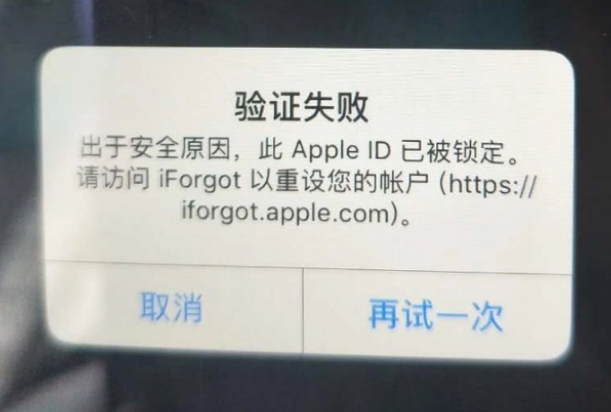 高台iPhone维修分享iPhone上正常登录或使用AppleID怎么办 