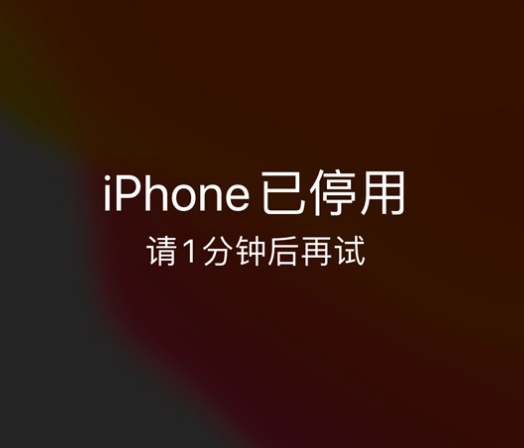 高台苹果手机维修分享:iPhone 显示“不可用”或“已停用”怎么办？还能保留数据吗？ 