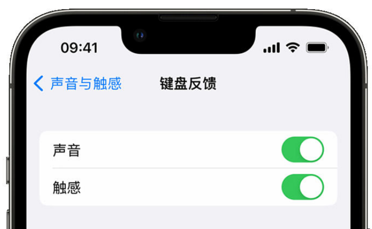 高台苹果手机维修分享iPhone 14触感键盘使用方法 