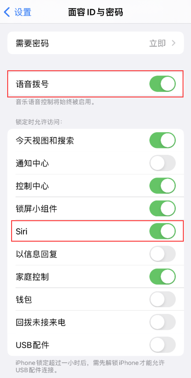 高台苹果维修网点分享不解锁 iPhone 的情况下通过 Siri 拨打电话的方法 