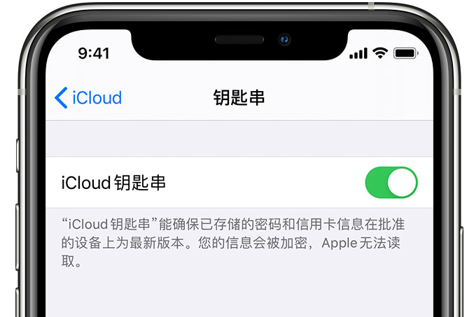 高台苹果手机维修分享在 iPhone 上开启 iCloud 钥匙串之后会储存哪些信息 