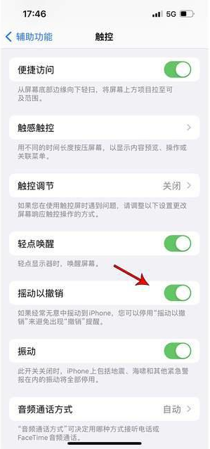 高台苹果手机维修分享iPhone手机如何设置摇一摇删除文字 